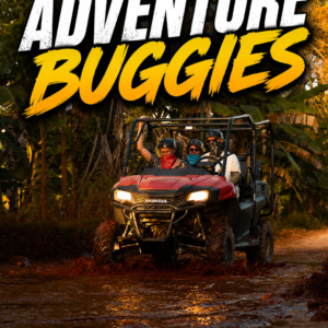 Buggies Adventure