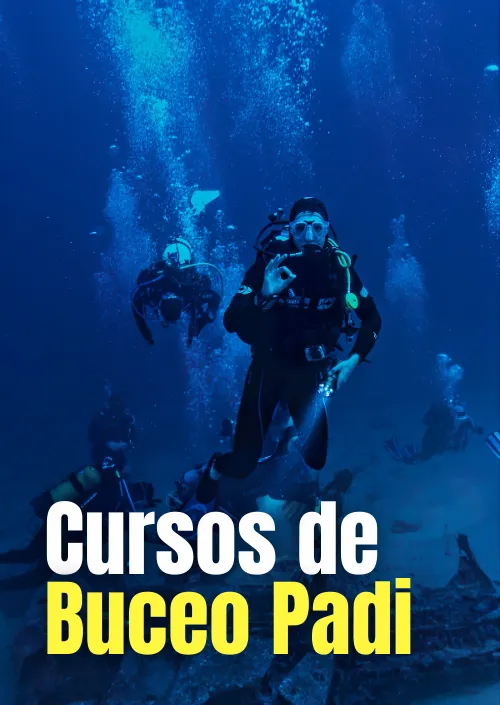 Curso de buceo PADI Punta Cana Destiny Caribbean Tours