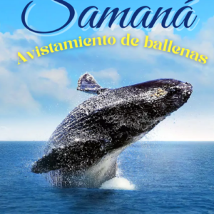 Avistamiento de ballenas en Samana