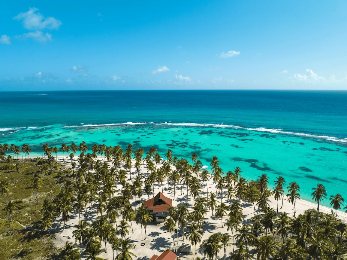 Imagen para la portada